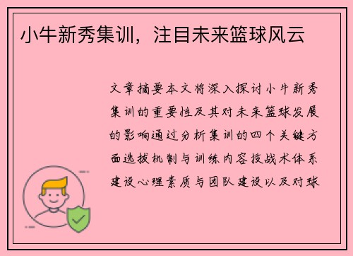 小牛新秀集训，注目未来篮球风云