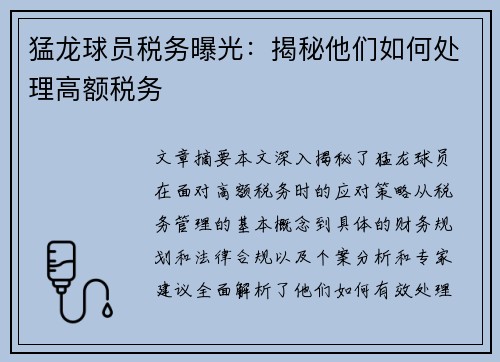 猛龙球员税务曝光：揭秘他们如何处理高额税务
